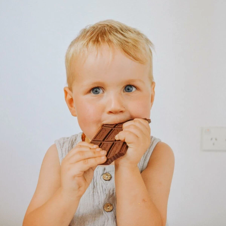 Wholesale Jellystone Designs Chocolate Bar Teether