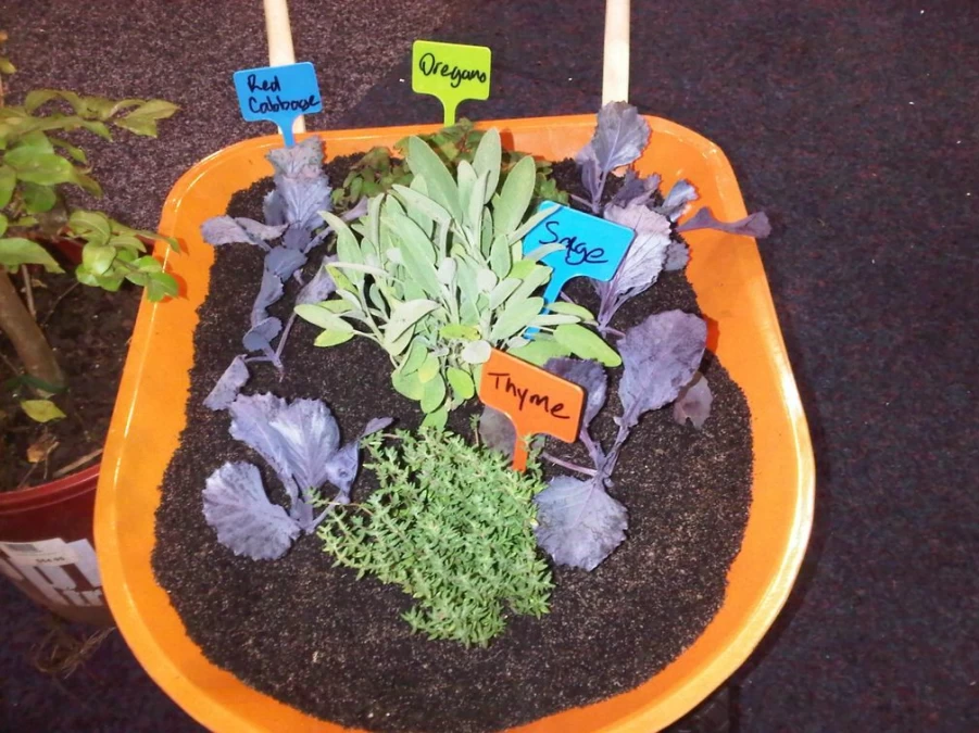 Clearance Twigz Kids Gardening Plant Labels