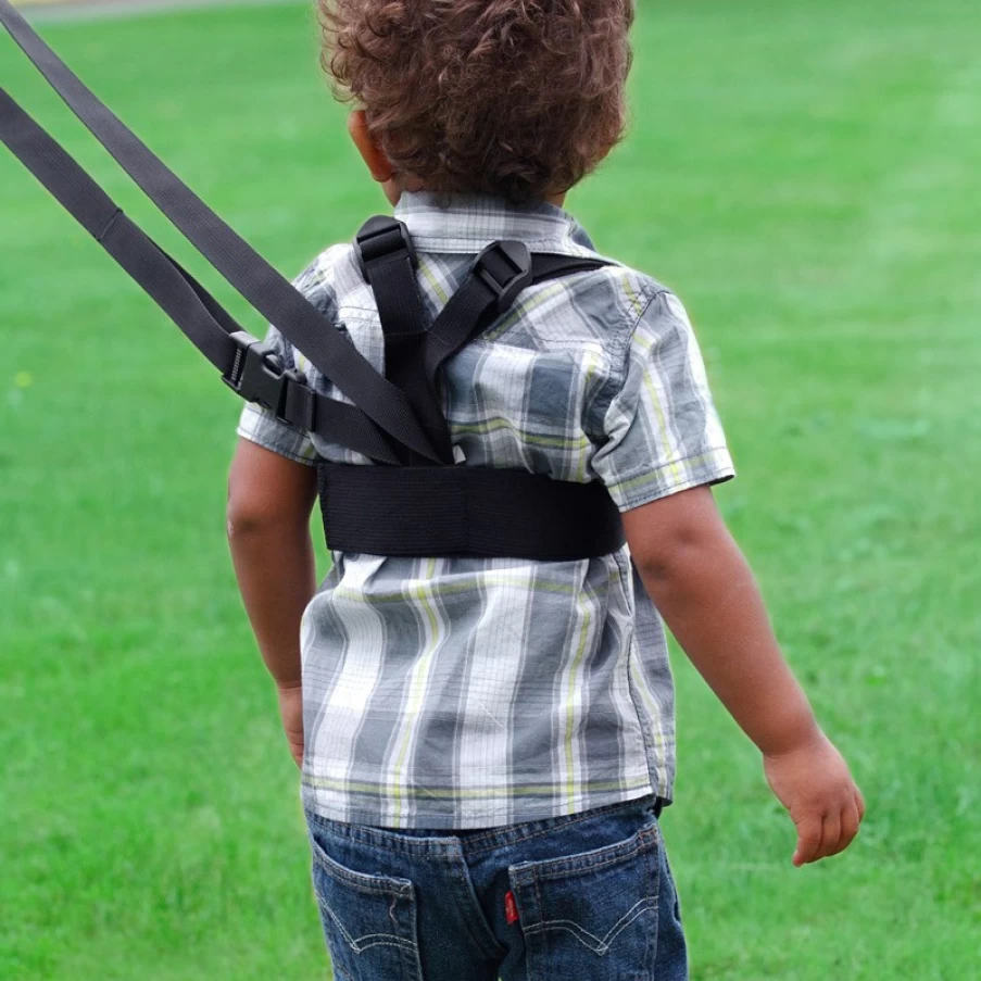 Best Diono Sure Steps Safety Harness