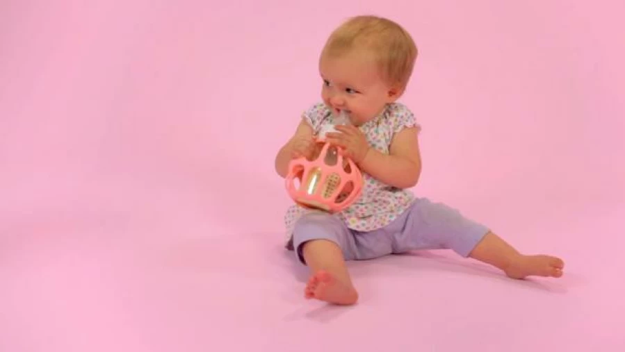 Best Ba Baby Bottle Holder Rose