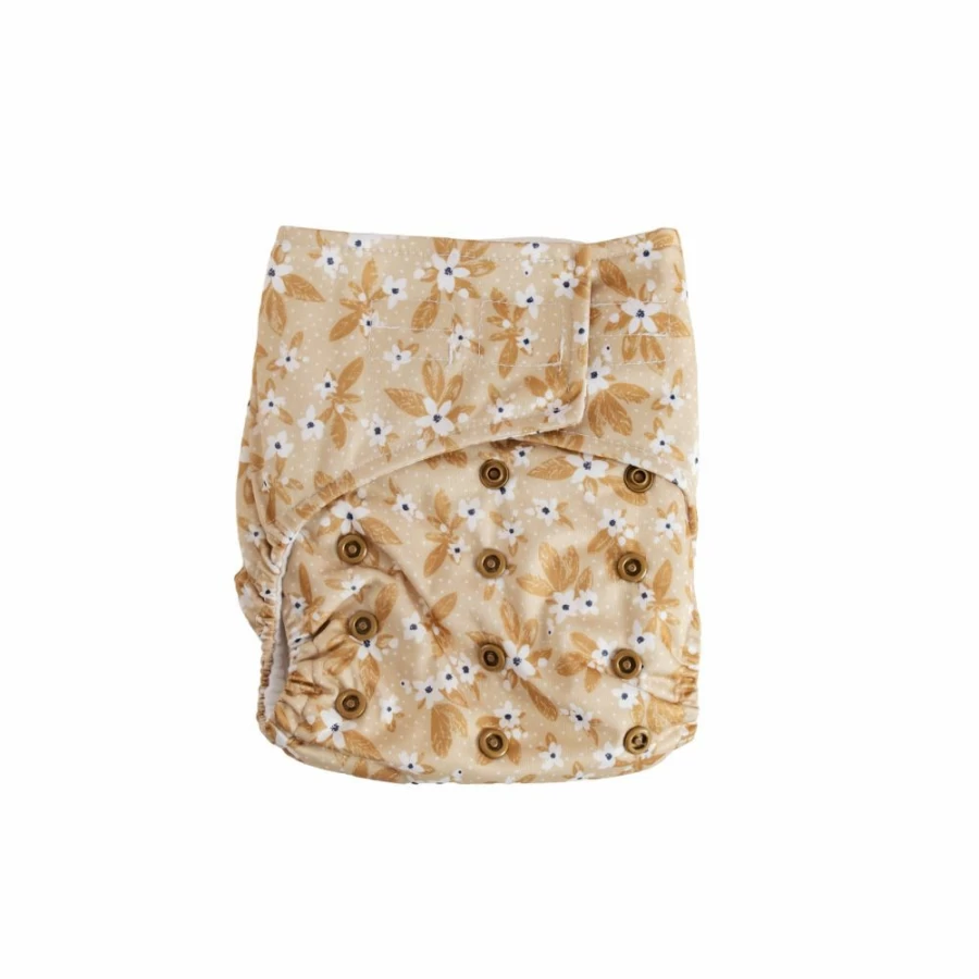 Best Sassy Pants Velcro Nappy With 2 Inserts One Size