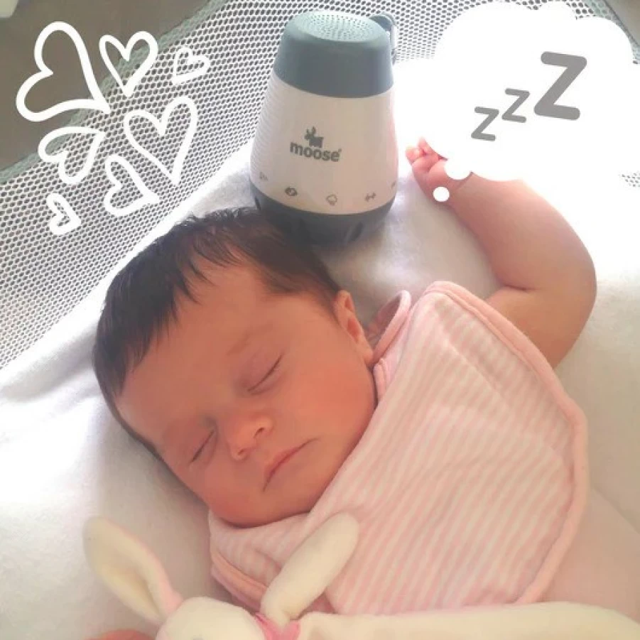 Best Moose Calm-A White Noise Machine