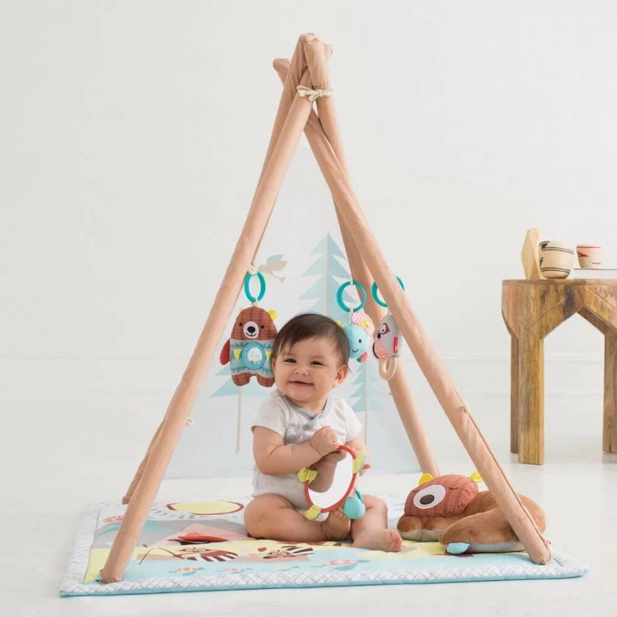 Best Skip Hop Camping Cubs Activity Gym