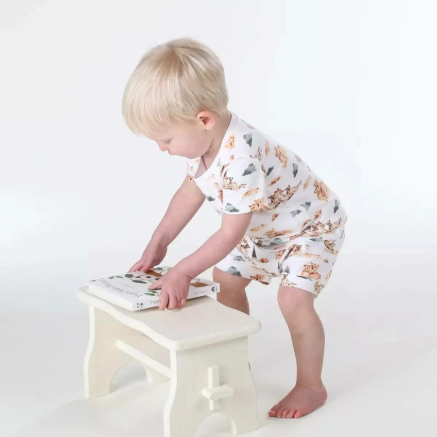 Wholesale Little Bee Cotton T-Shirt African Plains