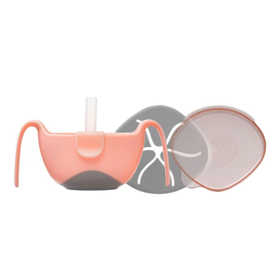 Online B.Box Gelato Bowl & Straw Tutti-Frutti