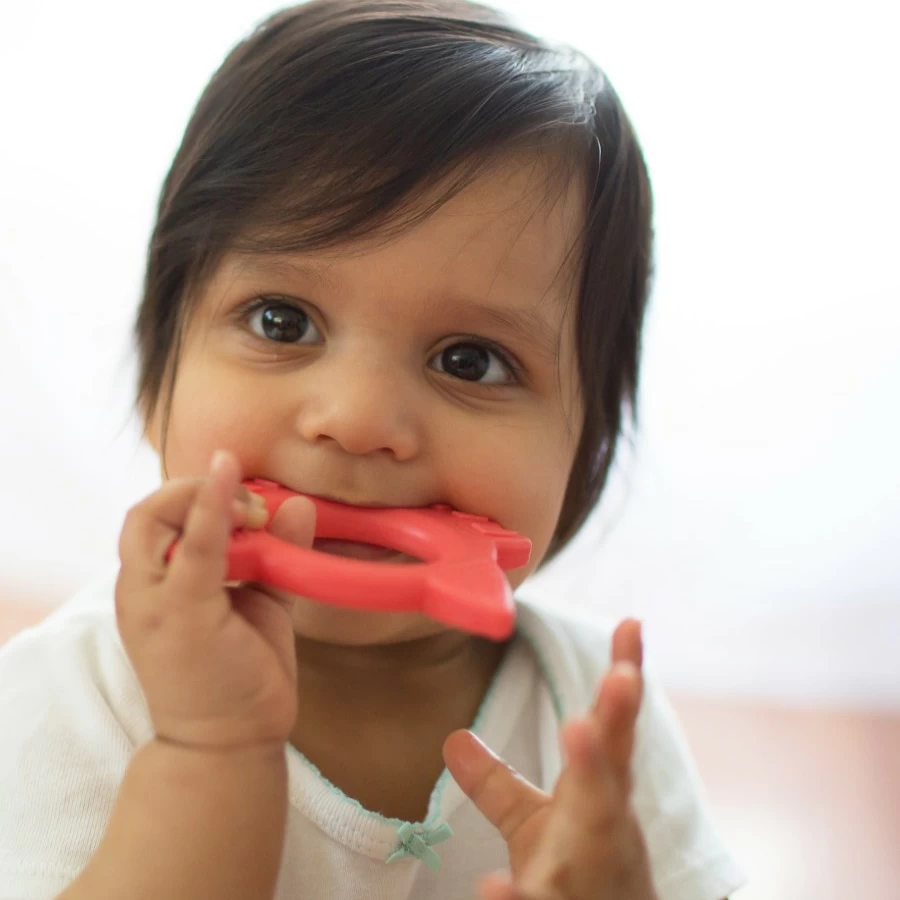 Hot Dr Browns Flexees Friends Teether Fox