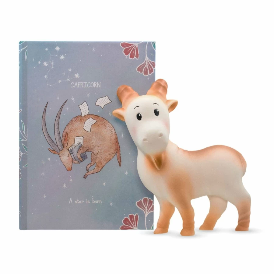 Wholesale Chabil Signs Of The Zodiac Teether & Bath Toy Gift Box