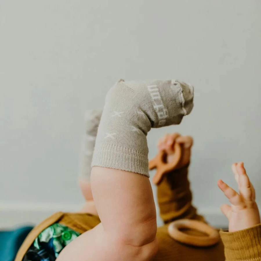 Online Lamington Baby Merino Wool Crew Socks Ted