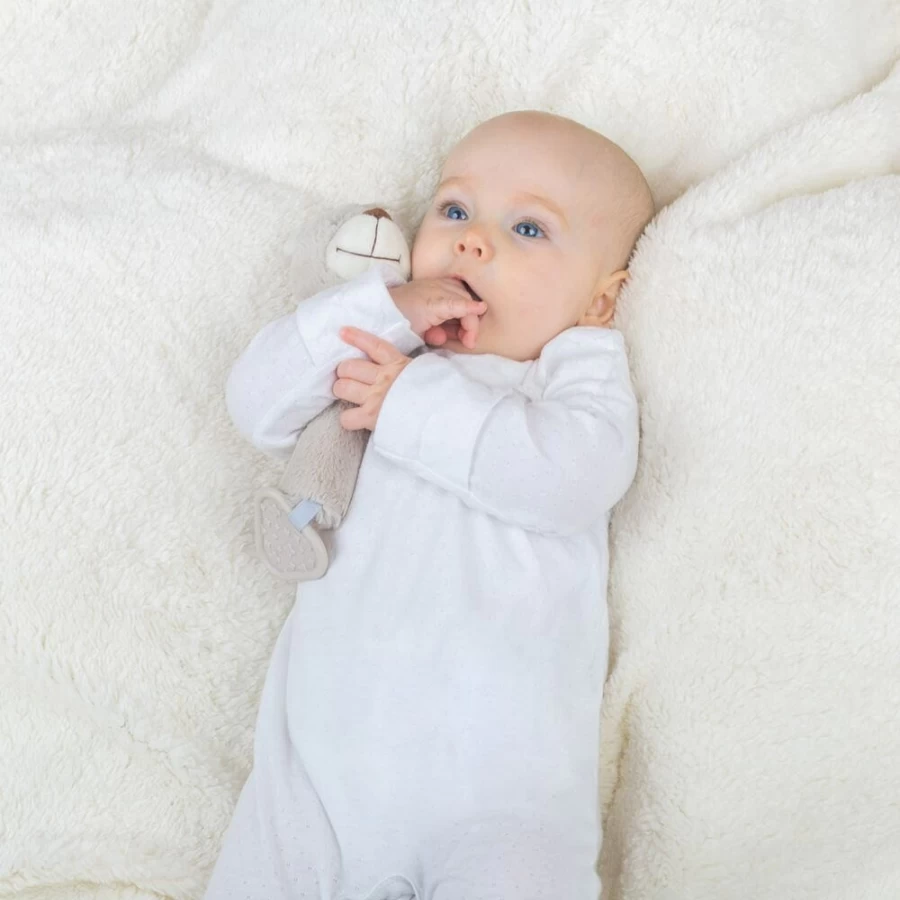 Best Big Jigs Buddy Bear Squeaky Rattle