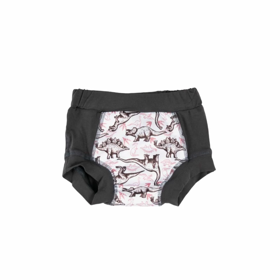 Best Sassy Pants Wee Pants Training Pants